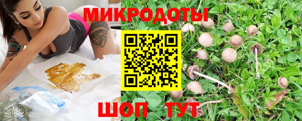 Малгобек  Галлюциногенные грибы Cubensis  Галлюциногенные грибы мицелий  Вход с VPN 